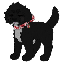 Thumbnail for MYO-1389: Blackberry Cavoodle Cake